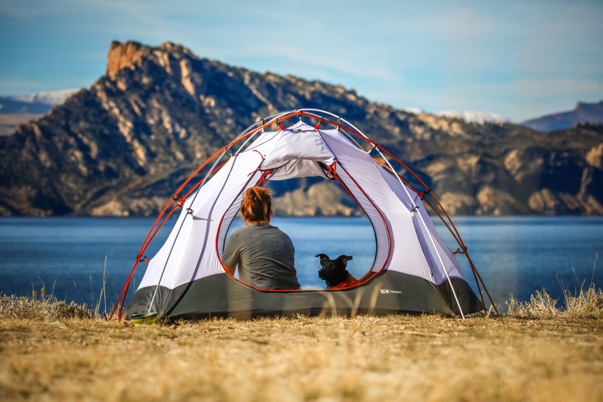 Camping mit dem Hund Die schönsten Ziele RidgiPad Blog