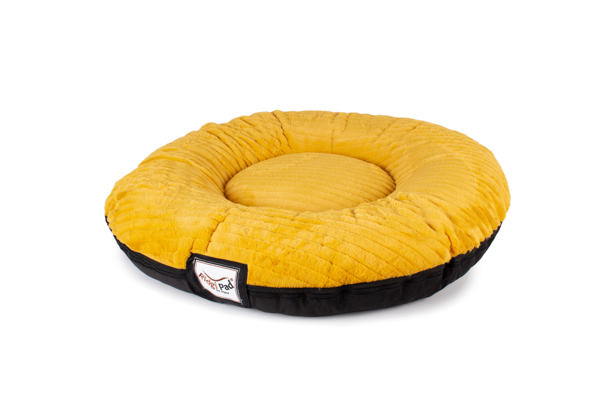 Ihr Hund schwebt mit dem Ridgi Keks auf Wolke 7