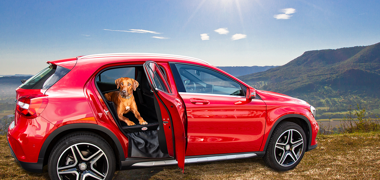 Carpad Sitzrückbank